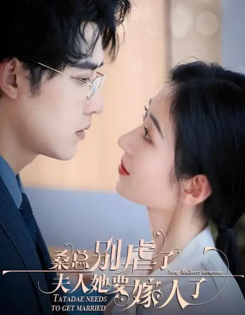 热播电视剧全集免费观看